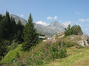 51 Am Malojapass_01-08-2009